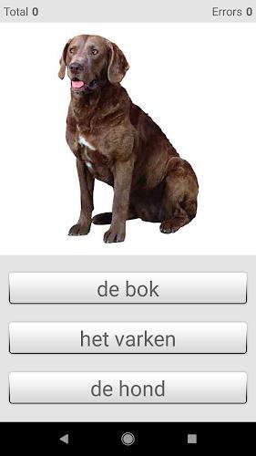 Learn Dutch words (Nederlands) Screenshot 3