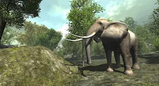 VR ZOO Safari Park Animal Game Zrzut ekranu 3