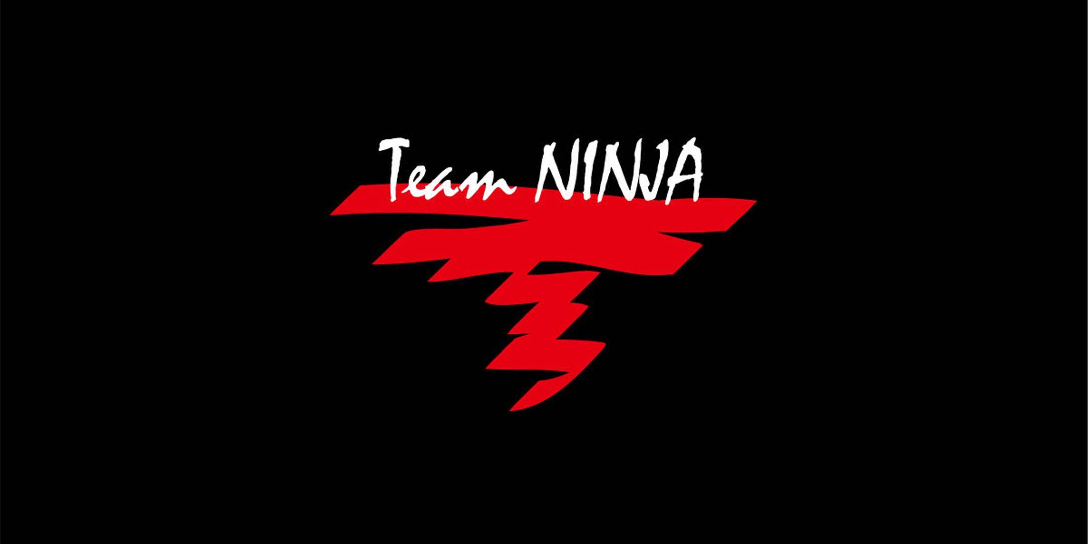 Team Ninja раскрывает планы на 30-летие