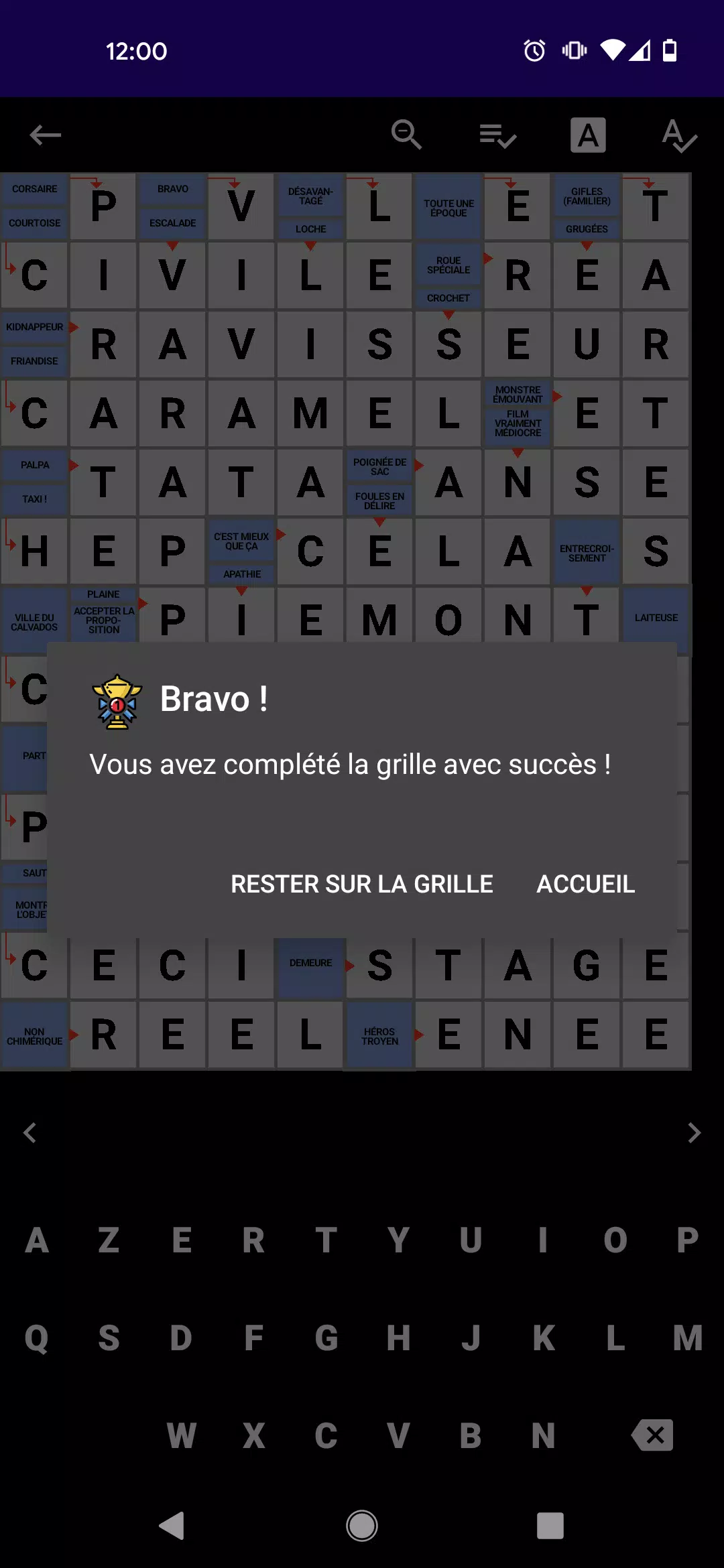 Mots Fléchés Français Capture d'écran 2
