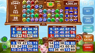 Video Bingo Little Farm應用截圖第0張