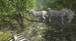 VR ZOO Safari Park Animal Game ဖန်သားပြင်ဓာတ်ပုံ 0