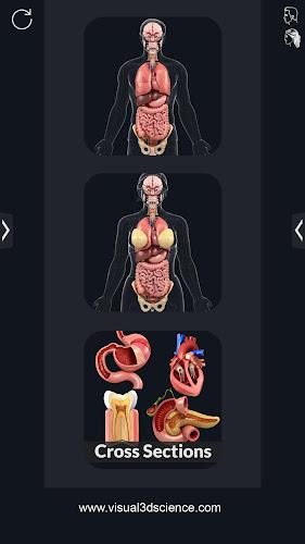 My Organs Anatomy स्क्रीनशॉट 0