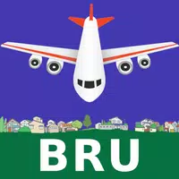 Brussels Airport Flight Info