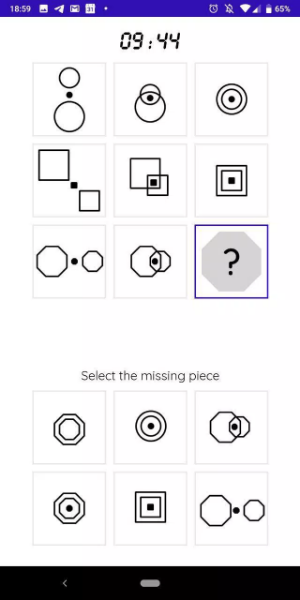 IQT: Raven IQ -Test