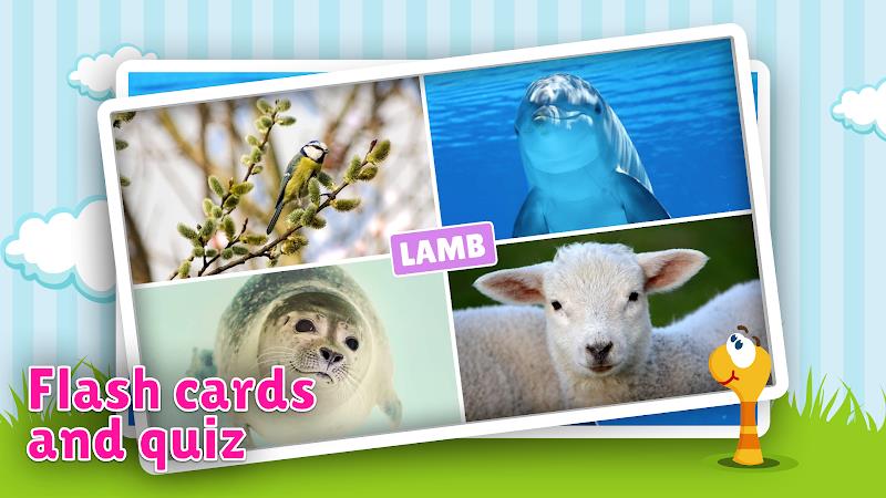 Animal flashcard & sounds Captura de tela 1