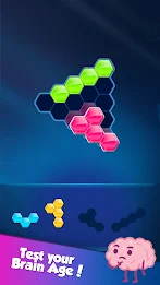 Block! Hexa Puzzle™ 스크린샷 1