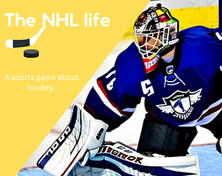 The NHL life