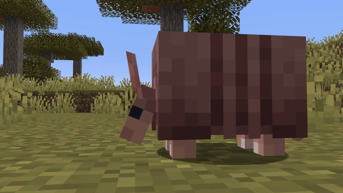 如何在Minecraft中获得Armadillo scuit