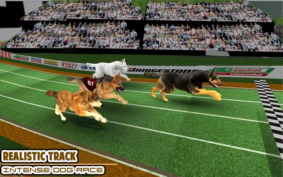 Dog racing games - dog game 3d 스크린샷 0