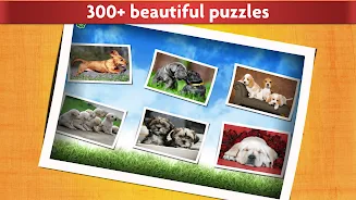 Jeu de Chiens Puzzle Enfants Capture d'écran 1