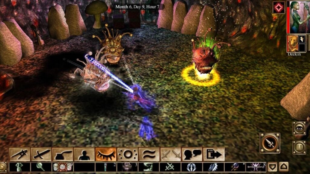 Neverwinter Nights