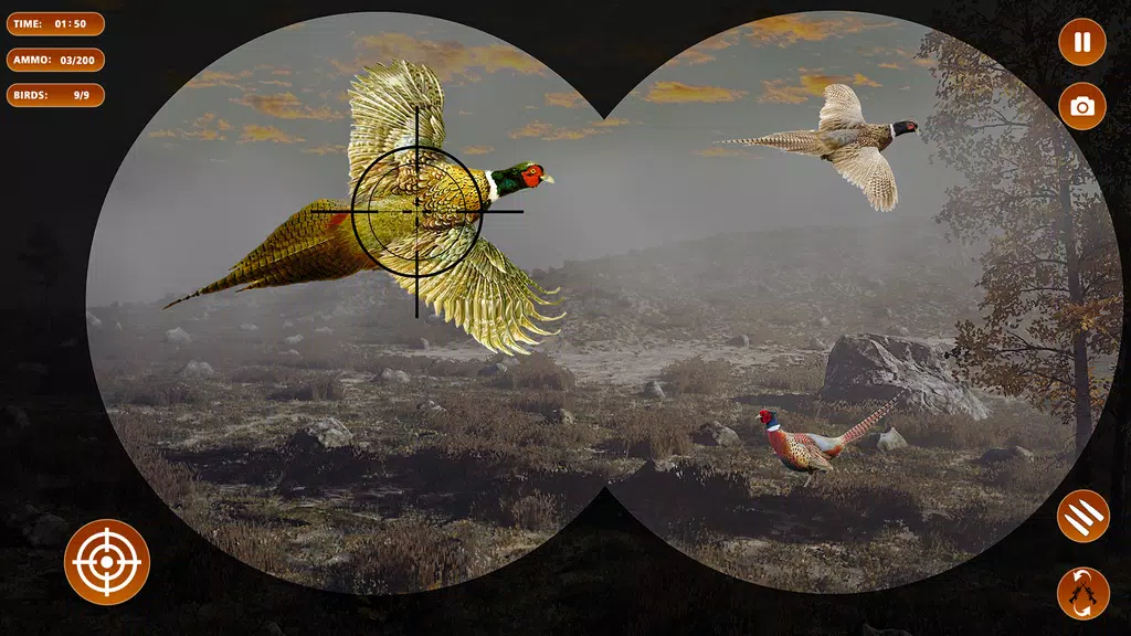 Pheasant Shooter Birds Hunting 스크린샷 0