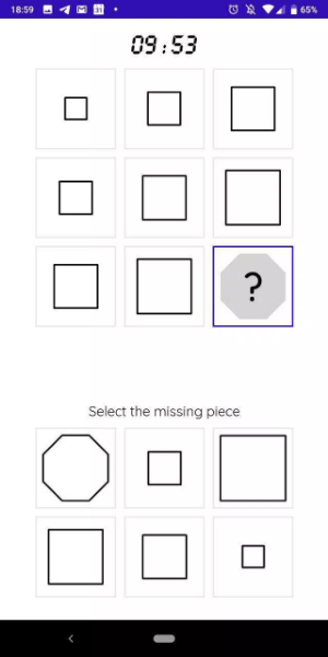 iQT: Raven IQ Test