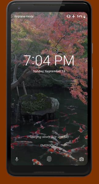 Japanese Koi Pond 4K Video LWP Captura de pantalla 1