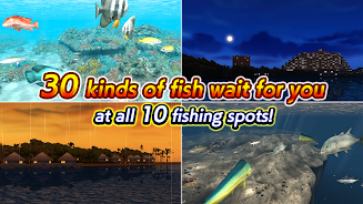 Excite BigFishing Ⅲ Скриншот 3