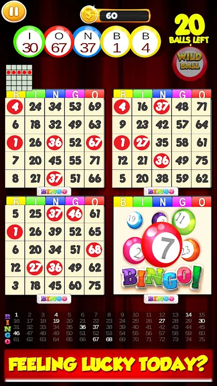 New Bingo Cards Game Free 스크린샷 0