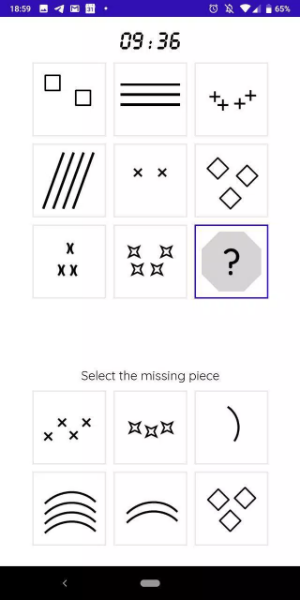 IQT: Raven IQ -Test