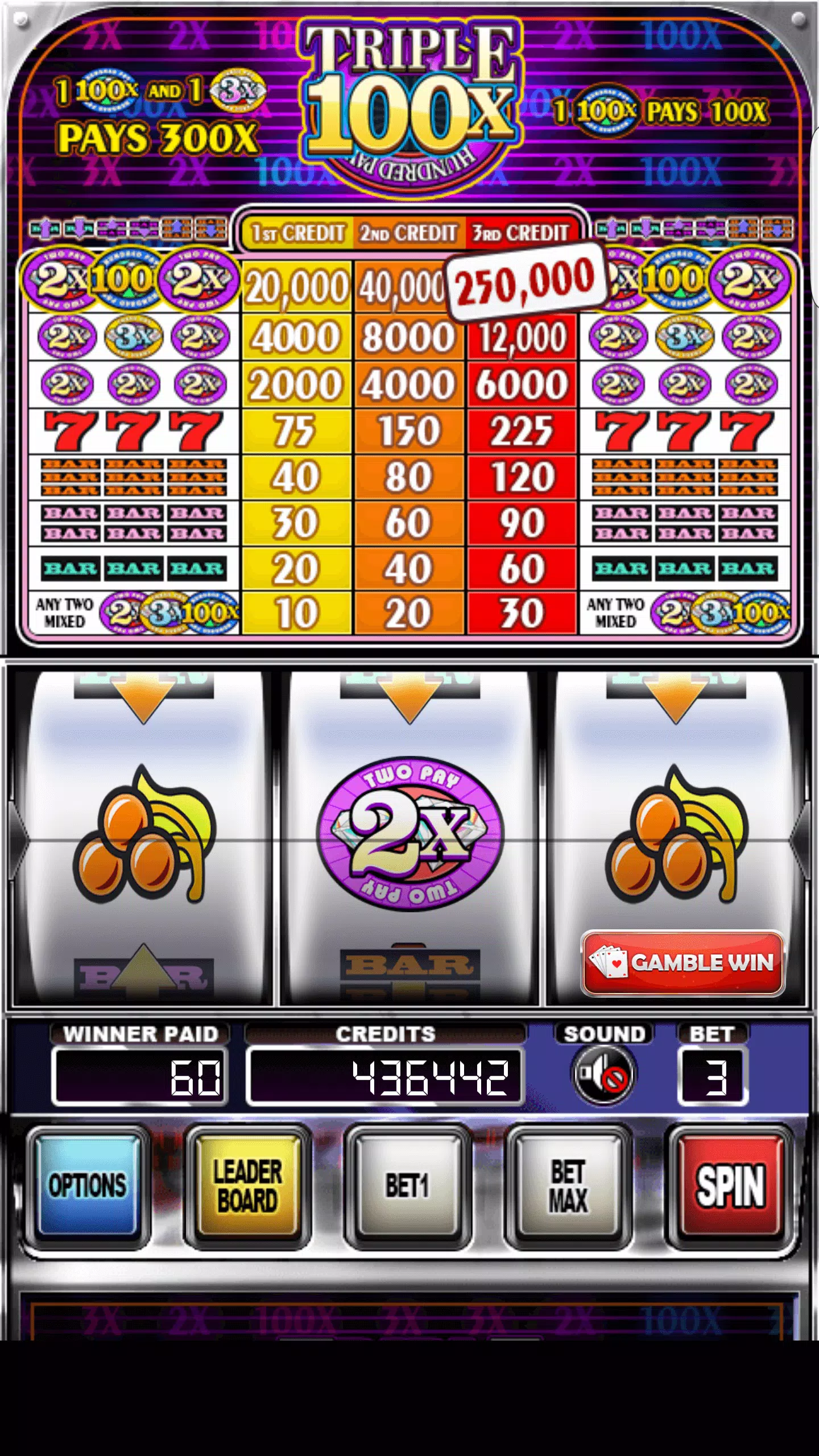 Double Wild Slots Screenshot 1