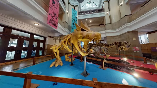 Pokémon Fossil Museum om volgend jaar echte en nep nepfossielen in de VS te presenteren
