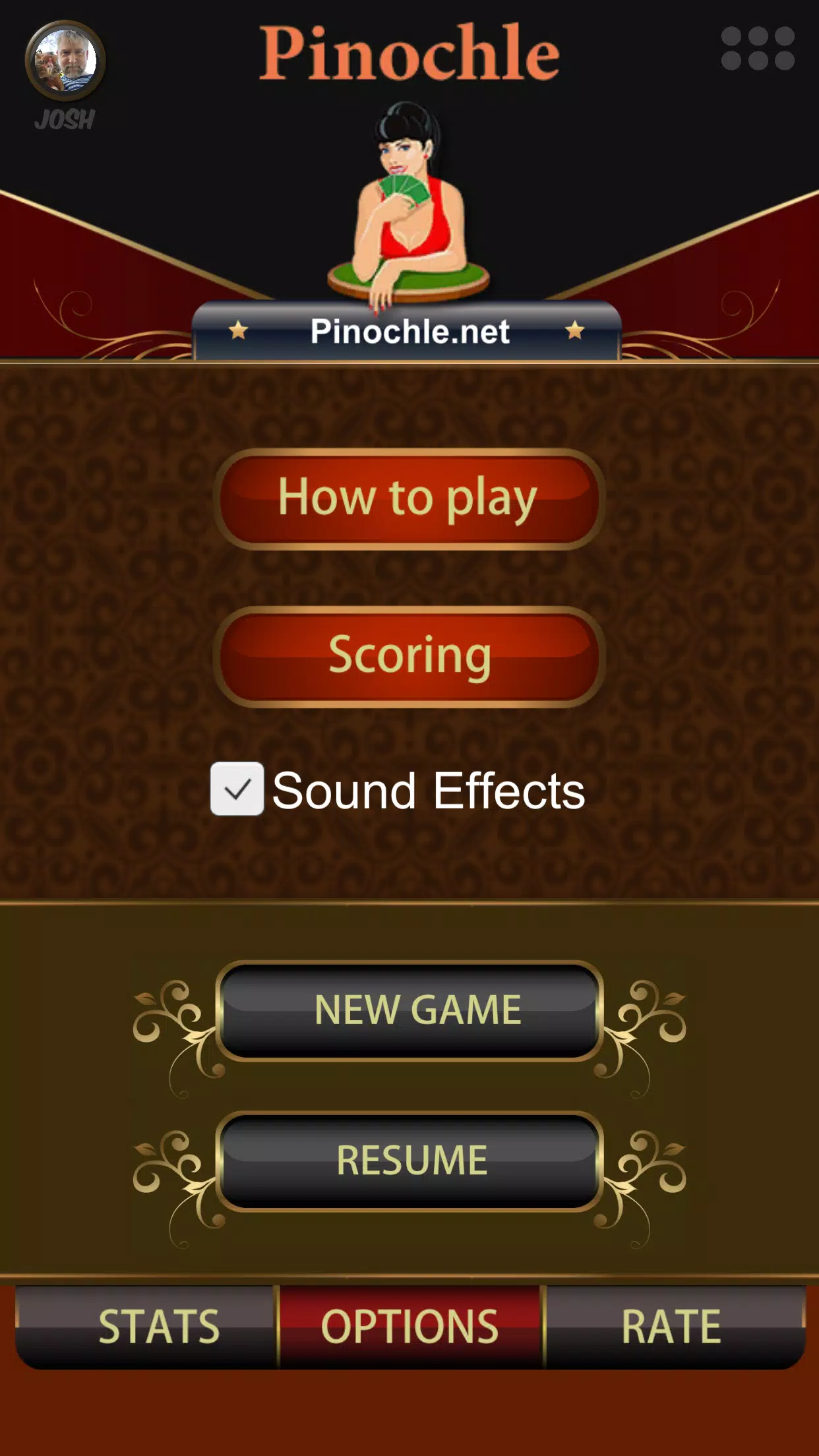 Pinochle Online Screenshot 1