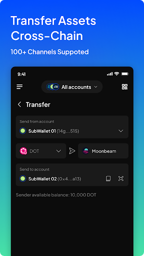 SubWallet 스크린샷 2