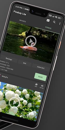 Pixabay Lite (images & videos) Captura de tela 1