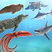 Sea Animal Kingdom: War Simula