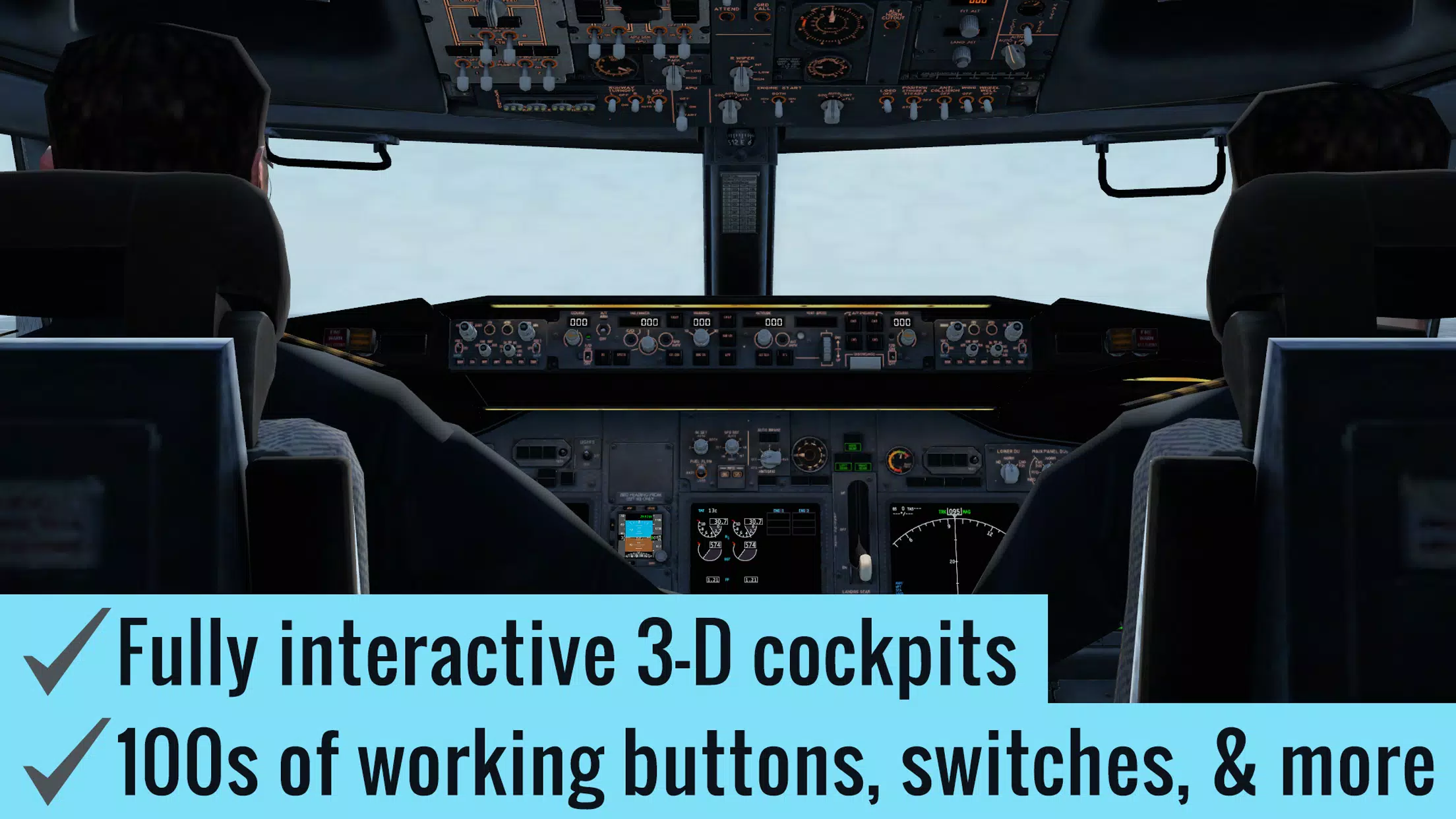X-Plane Скриншот 1