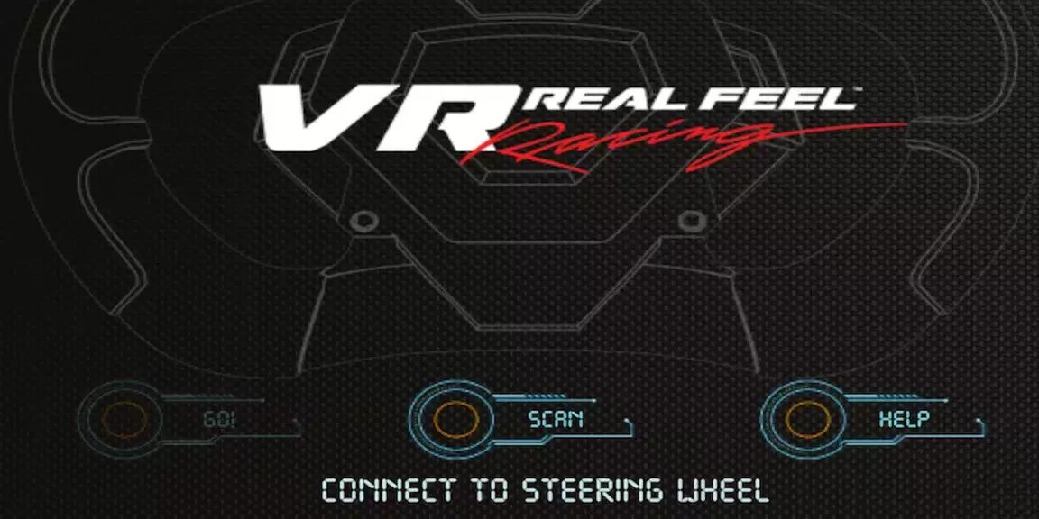 VR Real Feel Racing Tangkapan skrin 0