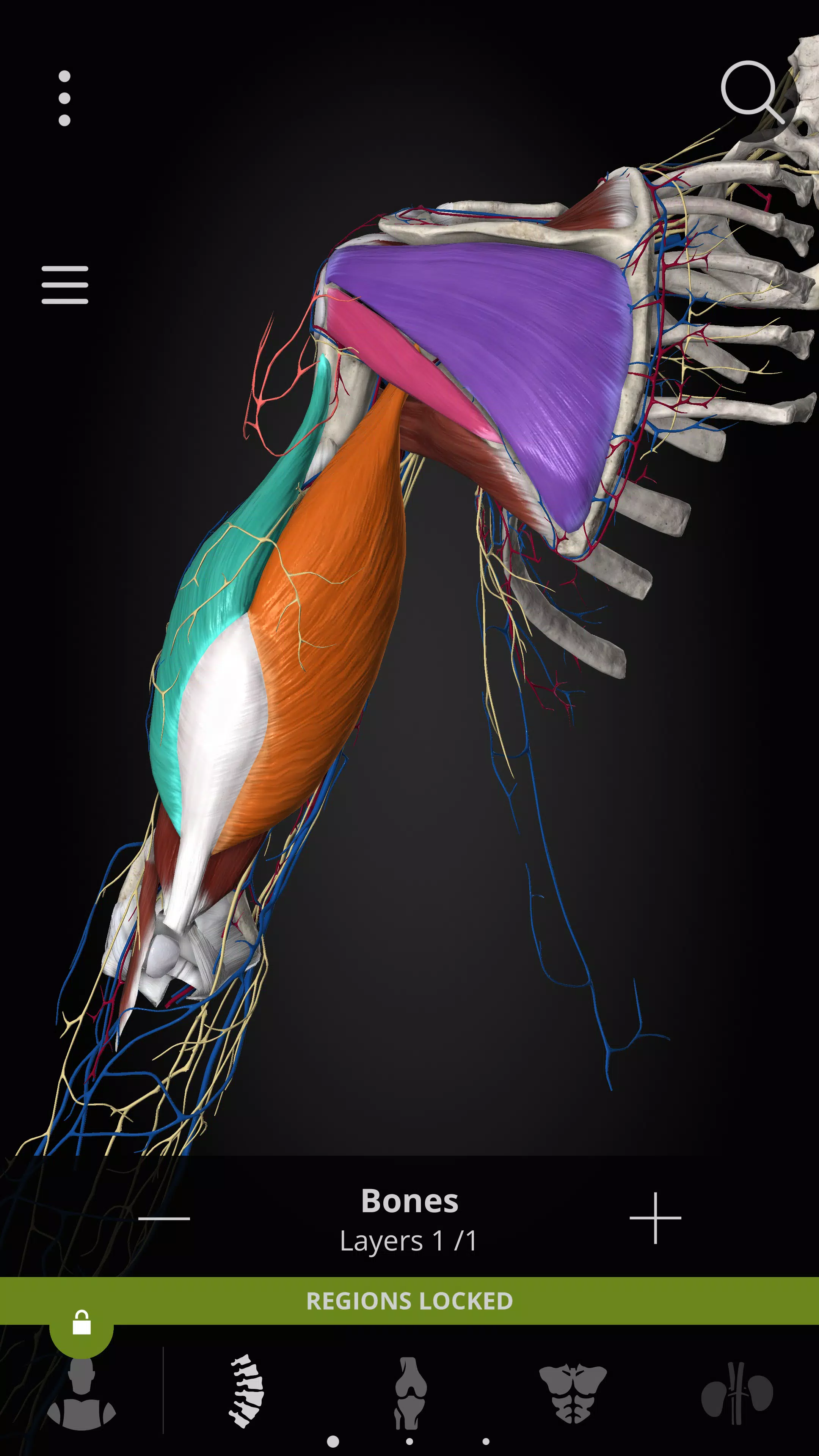 Anatomyka - 3D Anatomy Atlas Screenshot 3