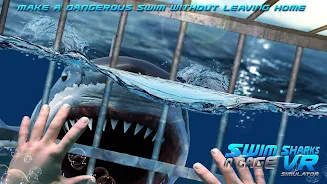 Swim Sharks Cage VR Simulator Zrzut ekranu 1