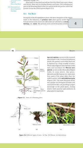 Class 11 Biology NCERT Book स्क्रीनशॉट 1