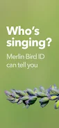 Merlin Bird ID by Cornell Lab Скриншот 3