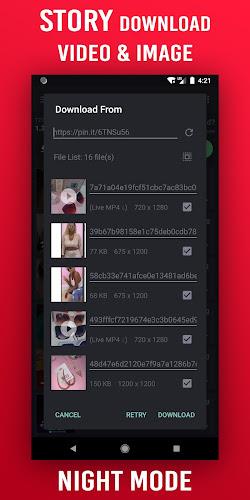 Video Downloader for Pinterest 스크린샷 2